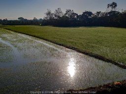 20190128_073723_900_